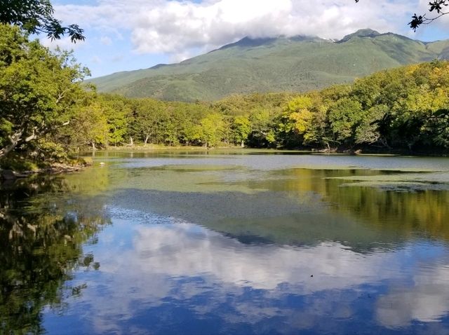 【北海道】世界自然遺産の知床の事を知っとこう！！