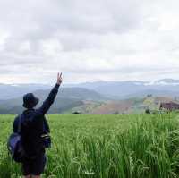 พาใจไปพัก@ป่าบงเปียง 💚