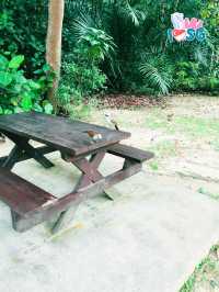 🇸🇬 Berry welcome to Bukit Batok Nature Park