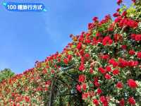 奧地利皇室的避暑夏宮：美泉宮 Schloss Schönbrunn