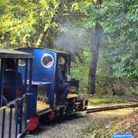 Exbury Gardens & Steam Railway Delight
