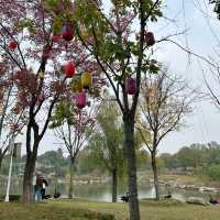 สวนสวยเมืองเจิ้งโจว 郑州园博园 