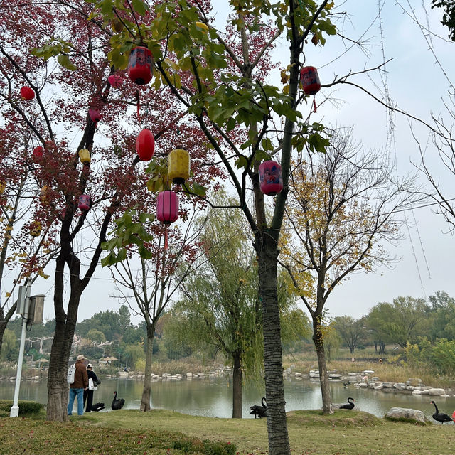 สวนสวยเมืองเจิ้งโจว 郑州园博园 