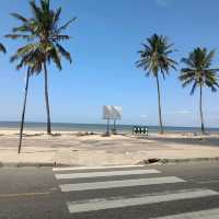 Maputo fish market, experience the local market