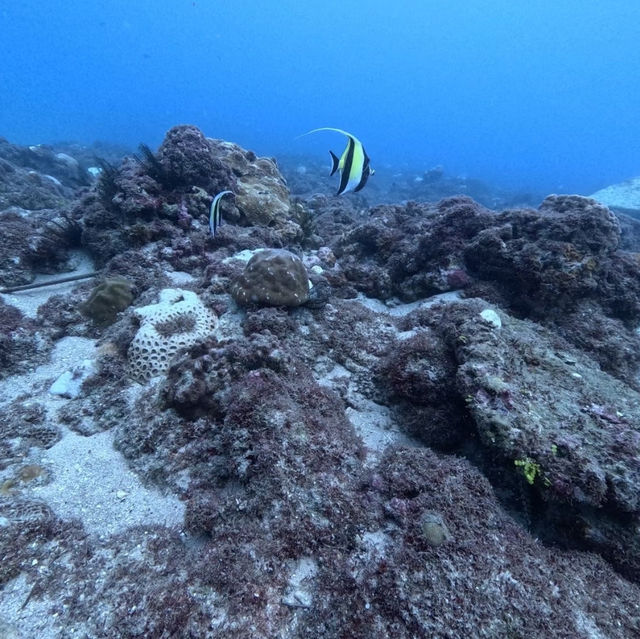 去過一次就想當島民「小琉球」🏝️