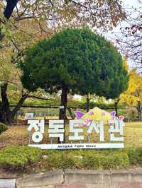 야외에서 가을의 정취를 느끼면서 책을 읽을 수 있는 정독도서관📖