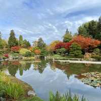 🌴大濠公園日本庭園⛳️如詩如畫🍁🌿