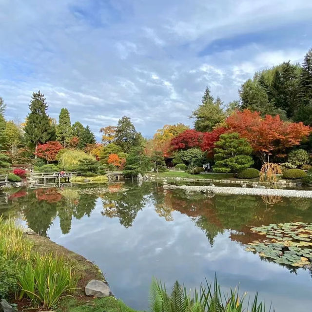 🌴大濠公園日本庭園⛳️如詩如畫🍁🌿