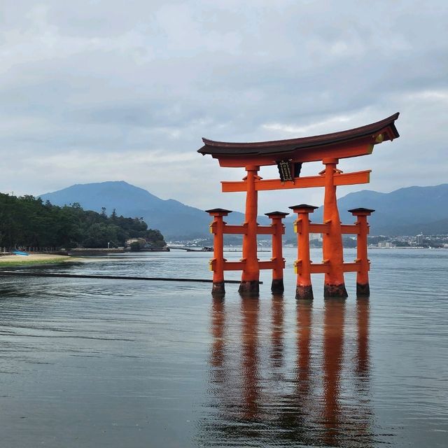 Capture the beauty of Miyajima