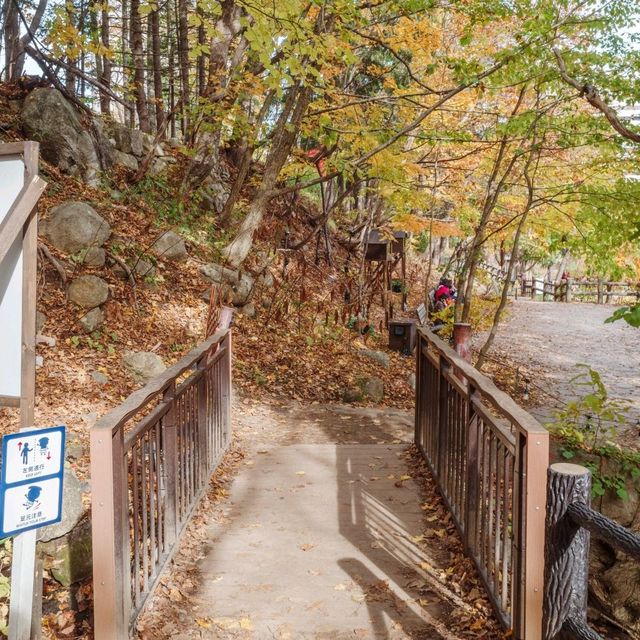 가을에 더욱 예쁜 조잔케이후타미공원