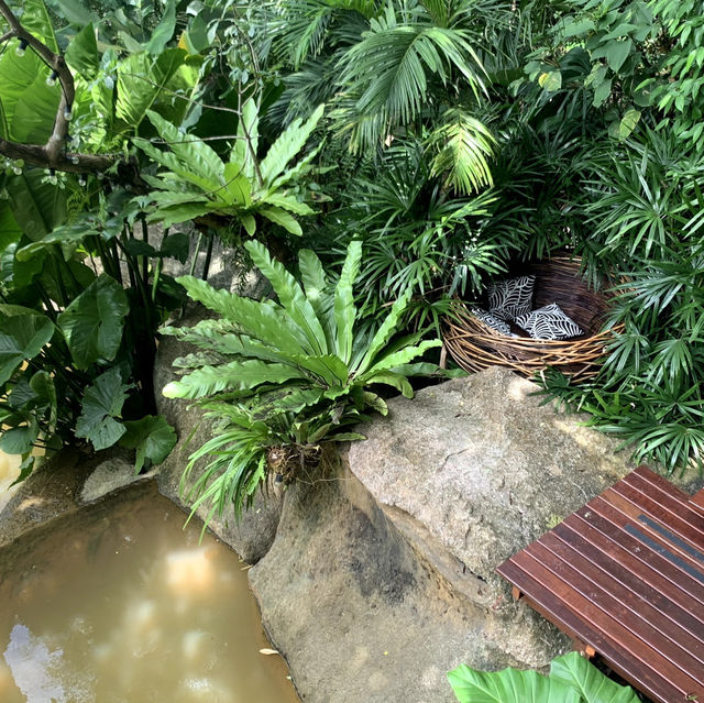 Three Monkeys คาเฟ่ป่าลิง🥰