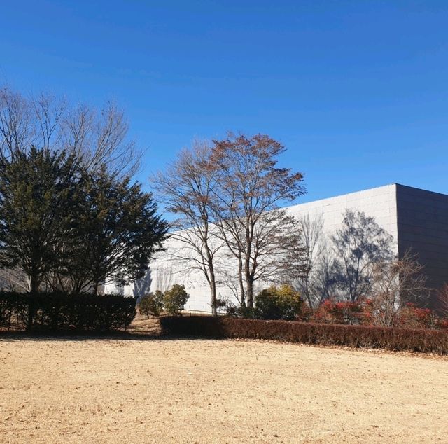 富士山創作主題〔河口湖美術館〕