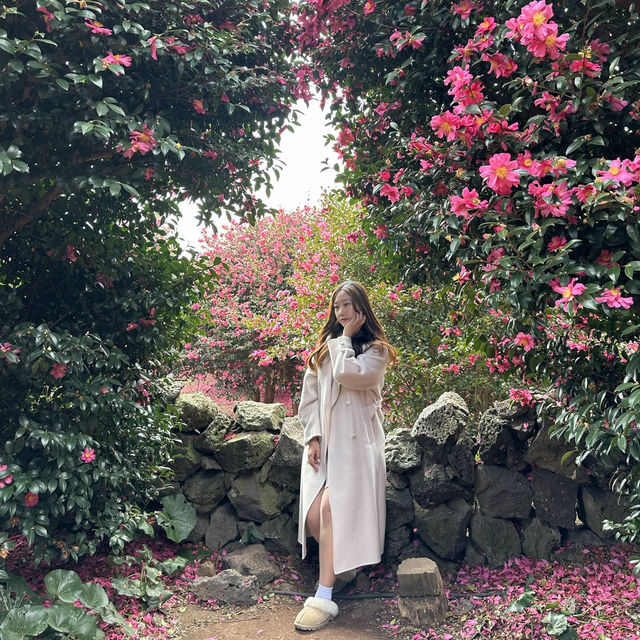 겨울 제주의 붉은 낭만, 동백수목원에서 만나는 동백꽃의 매력🌺