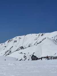 ❄️✨Tateyama 