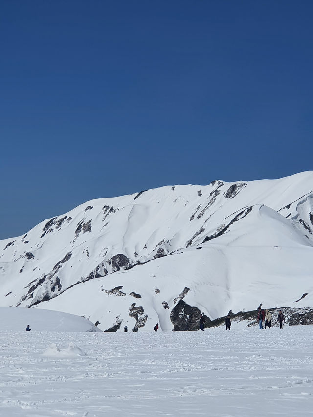 ❄️✨Tateyama 