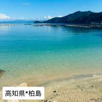 高知県　大月町　柏島 จังหวัดโคจิ มีภาษาไทยให้บริการด้วย⬇️
