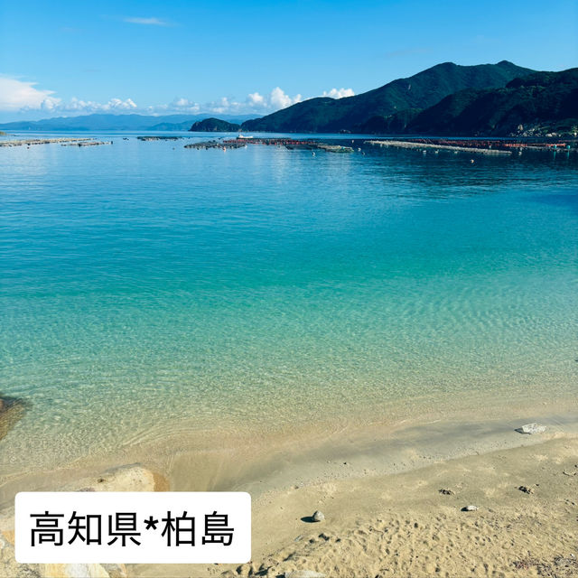 高知県　大月町　柏島 จังหวัดโคจิ มีภาษาไทยให้บริการด้วย⬇️