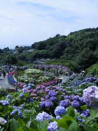 名古屋打卡聖地：形原溫泉紫陽花祭 