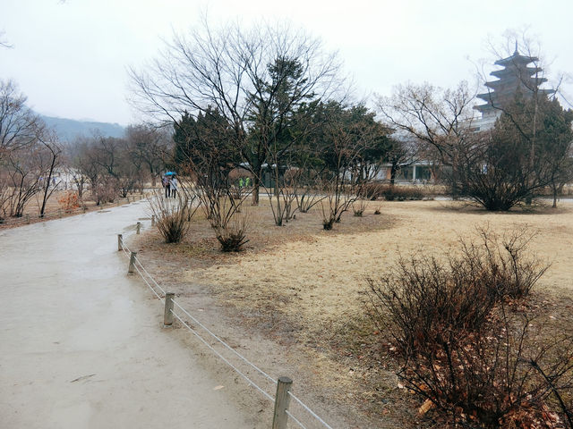 探訪景福宮：韓國的歷史瑰寶 🏯🇰🇷