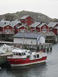 หมู่บ้าน Hammarskaftet Lofoten วิวภูเขาหมวก