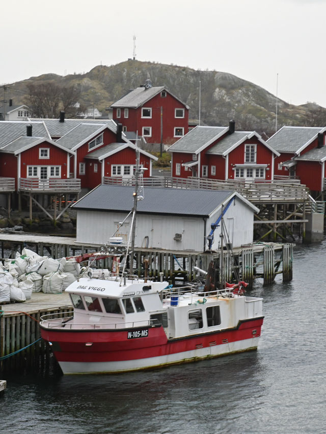 หมู่บ้าน Hammarskaftet Lofoten วิวภูเขาหมวก