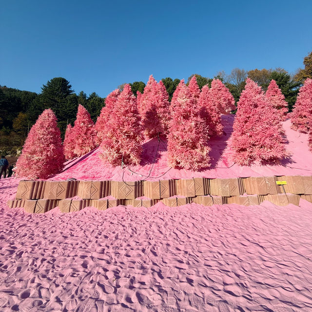 A Dreamy Escape: Pink Wonderland at Herb Island 🇰🇷