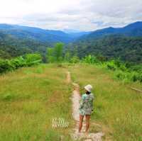 จุดชมทิวทัศน์กิ่วกระทิง (กม.81) แม่วงก์