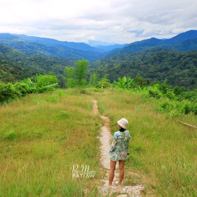 จุดชมทิวทัศน์กิ่วกระทิง (กม.81) แม่วงก์