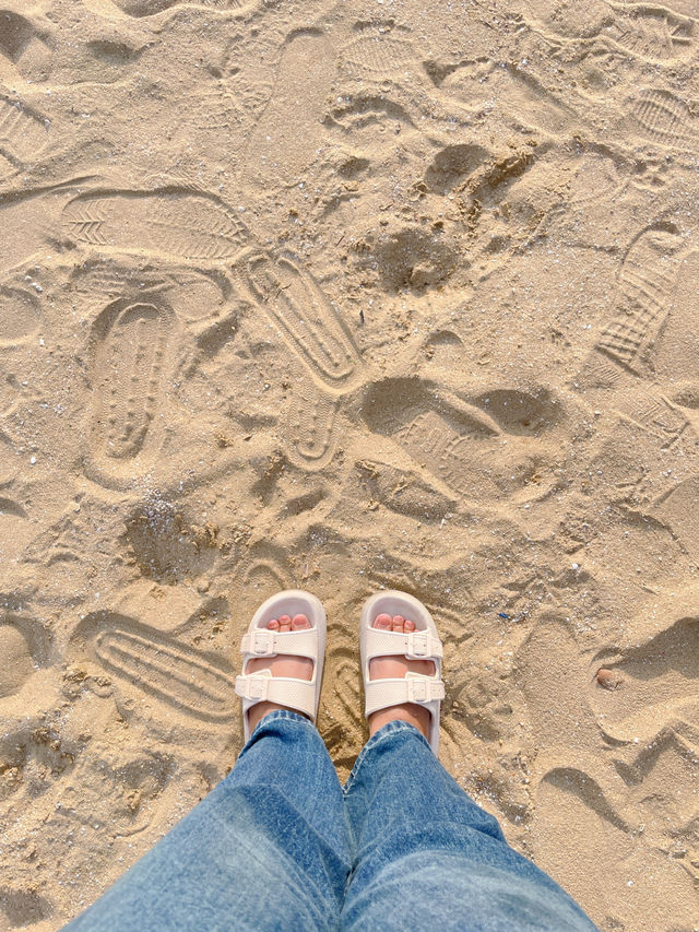 เดินเล่นชิลๆริมทะเล หาดพัทยาเหนือ 🏖️