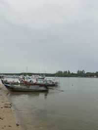 Serene River Cruise in Krabi Town! Exploring Caves and Mangrove Swamps