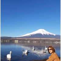 ปั่นจักรยานชิลๆ @ Yamanakako Lake