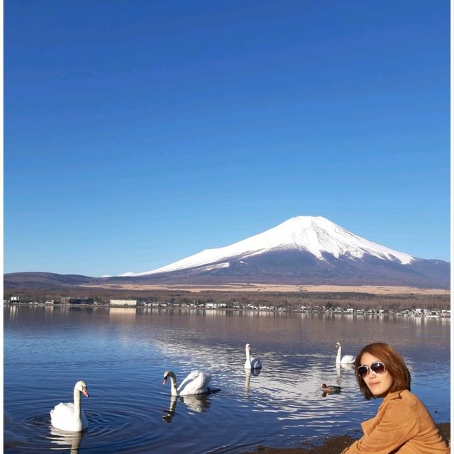 ปั่นจักรยานชิลๆ @ Yamanakako Lake
