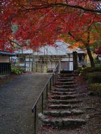 【ここ行って】めちゃ穴場の予約制紅葉スポット🍁庭園の風景が美しい✨
