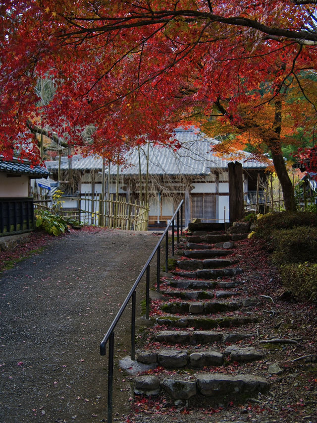 【ここ行って】めちゃ穴場の予約制紅葉スポット🍁庭園の風景が美しい✨