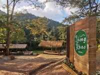 หลงเขา น่าน