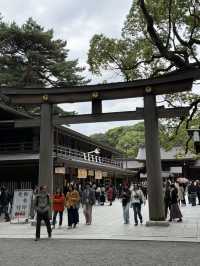 東京明治神宮｜自由行必到