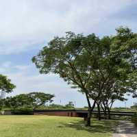 อุทยาน 100 ปี จุฬาลงกรณ์มหาวิทยาลัย🌳🌷