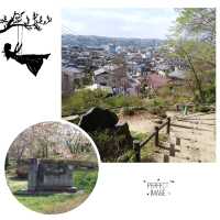 夢幻櫻花無敵景：西武羊山公園