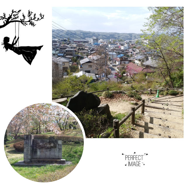 夢幻櫻花無敵景：西武羊山公園