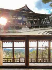 【広島】開放感のある歴史のある神社
