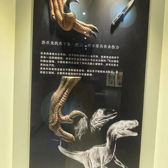 祿豐恐龍谷