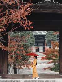京都紅葉🍁穴場スポット 『くろ谷 金戒光明寺』