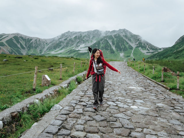 "Tateyama Kurobe Alpine Route" 🏔️
