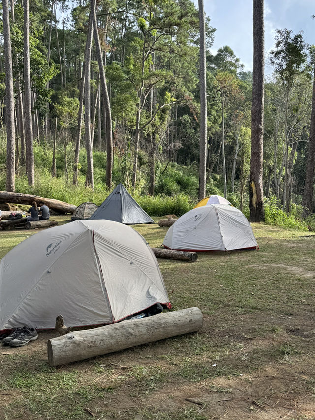 ดอยขุนตาลเดือนธันวา 🏕️🌿🌳✨