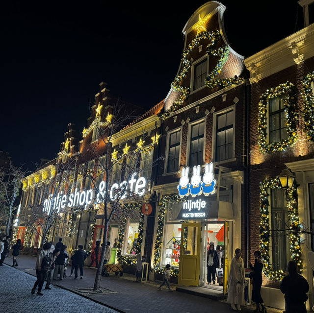 Magical illuminations & fireworks at Huis Ten Bosch