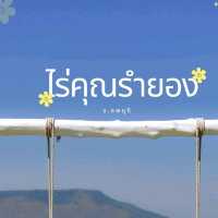 ไร่คุณรำยอง​ จ.ลพบุรี
