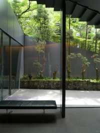 景點推薦：根津美術館——靜謐庭園與東方藝術的交融
