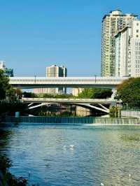 A Timeless Lifeline of the City