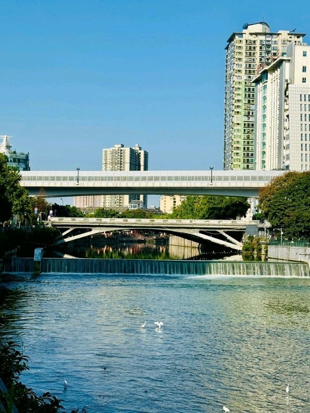 A Timeless Lifeline of the City