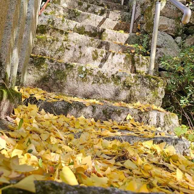 有馬溫泉銀杏秘境 〔潼本神社〕